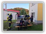 IMG-20240828-WA0010