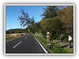 IMG_20201004_161929