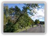 IMG_20201004_161955