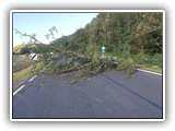IMG_20201004_162134