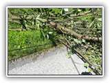 IMG_20200822_123212