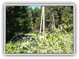 IMG_20200822_123222
