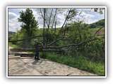 IMG-20230508-WA0001