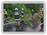 IMG_20230623_170807