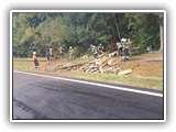 IMG-20231004-WA0004