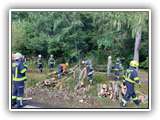 IMG-20231004-WA0006