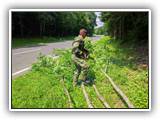 IMG_20220624_143927