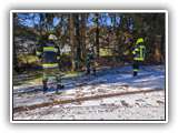 IMG_20220121_124123