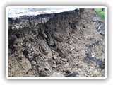 IMG-20230806-WA0006