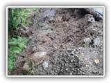 IMG-20230806-WA0007