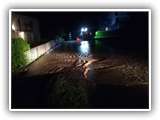 IMG_20200815_001248