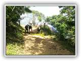 IMG_20210624_140527