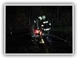 IMG_20171028_191813