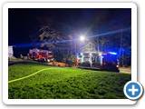 IMG_20241116_174629