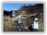 IMG-20221112-WA0006