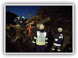 IMG-20221113-WA0001