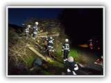 IMG-20221113-WA0002