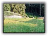IMG-20210813-WA0000