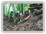 IMG_20210508_173425