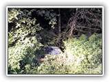 IMG-20190901-WA0011