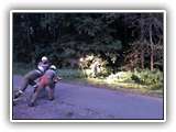 IMG-20190901-WA0012