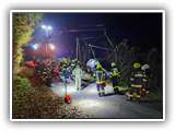 IMG_20241101_203305